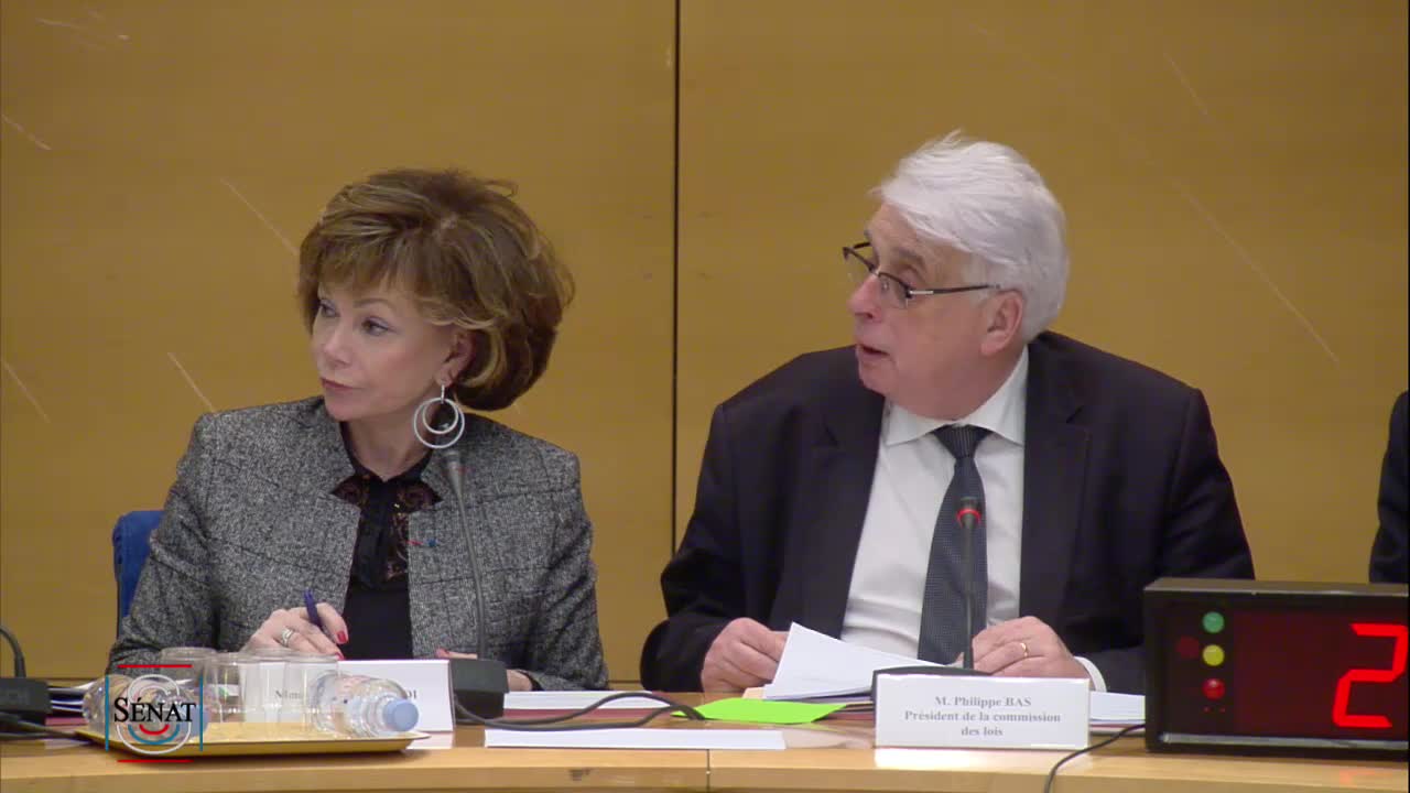 PPL Instances représentatives des Français de l'étranger - PPLO élections à l'étranger - Examen rapport et textes commission
