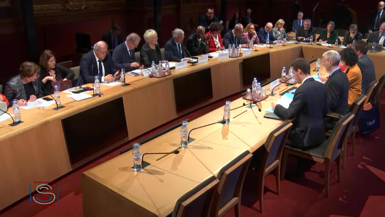 Audition de M. Franck Riester, ministre de la culture, sur la représentation et la visibilité des outre-mer dans l'audiovisuel public