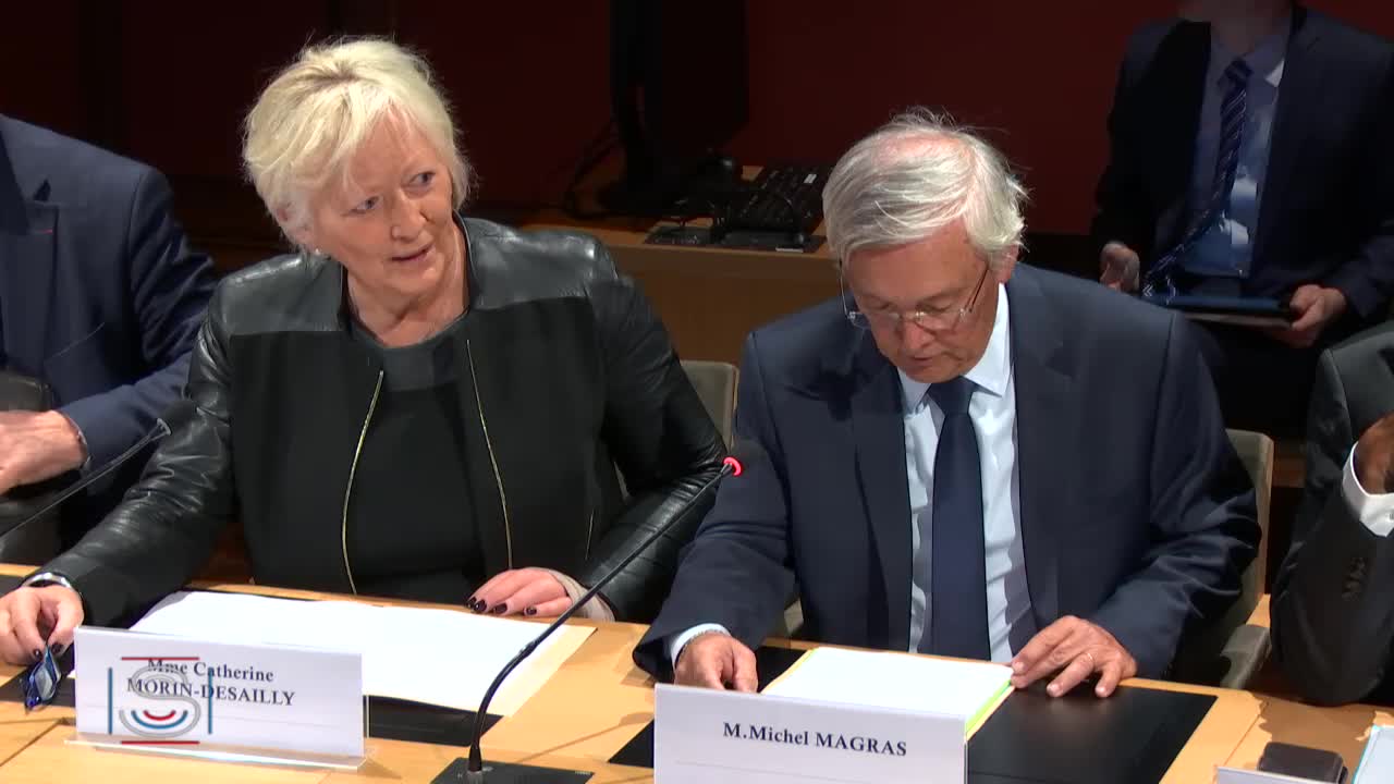 Audition de M. Franck Riester, ministre de la culture, sur la représentation et la visibilité des outre-mer dans l'audiovisuel public