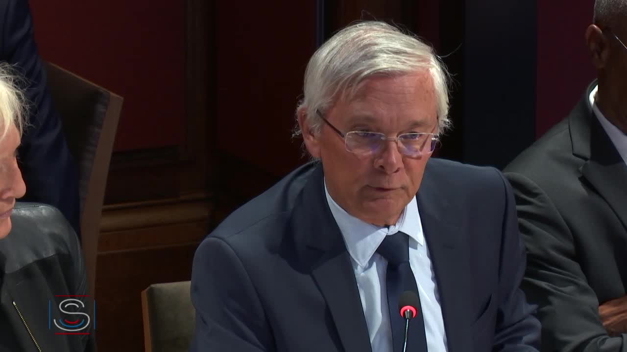 Audition de M. Franck Riester, ministre de la culture, sur la représentation et la visibilité des outre-mer dans l'audiovisuel public