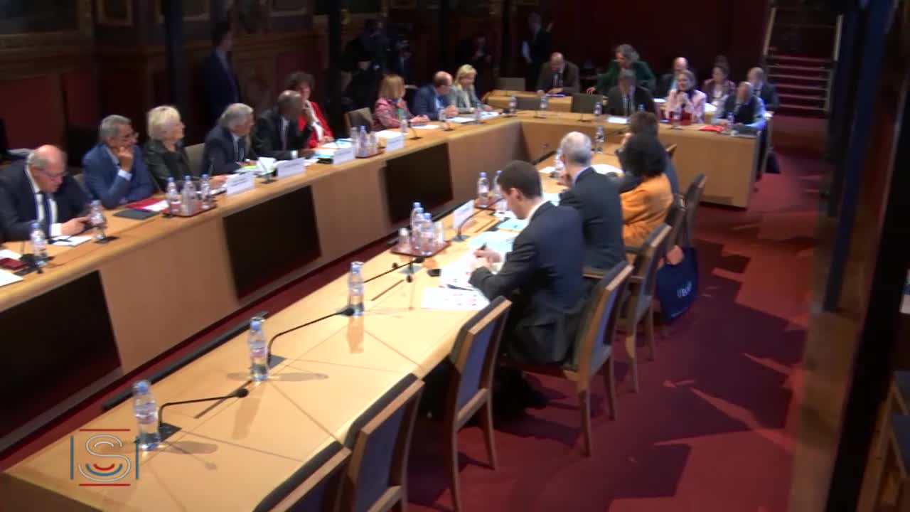 Audition de M. Franck Riester, ministre de la culture, sur la représentation et la visibilité des outre-mer dans l'audiovisuel public