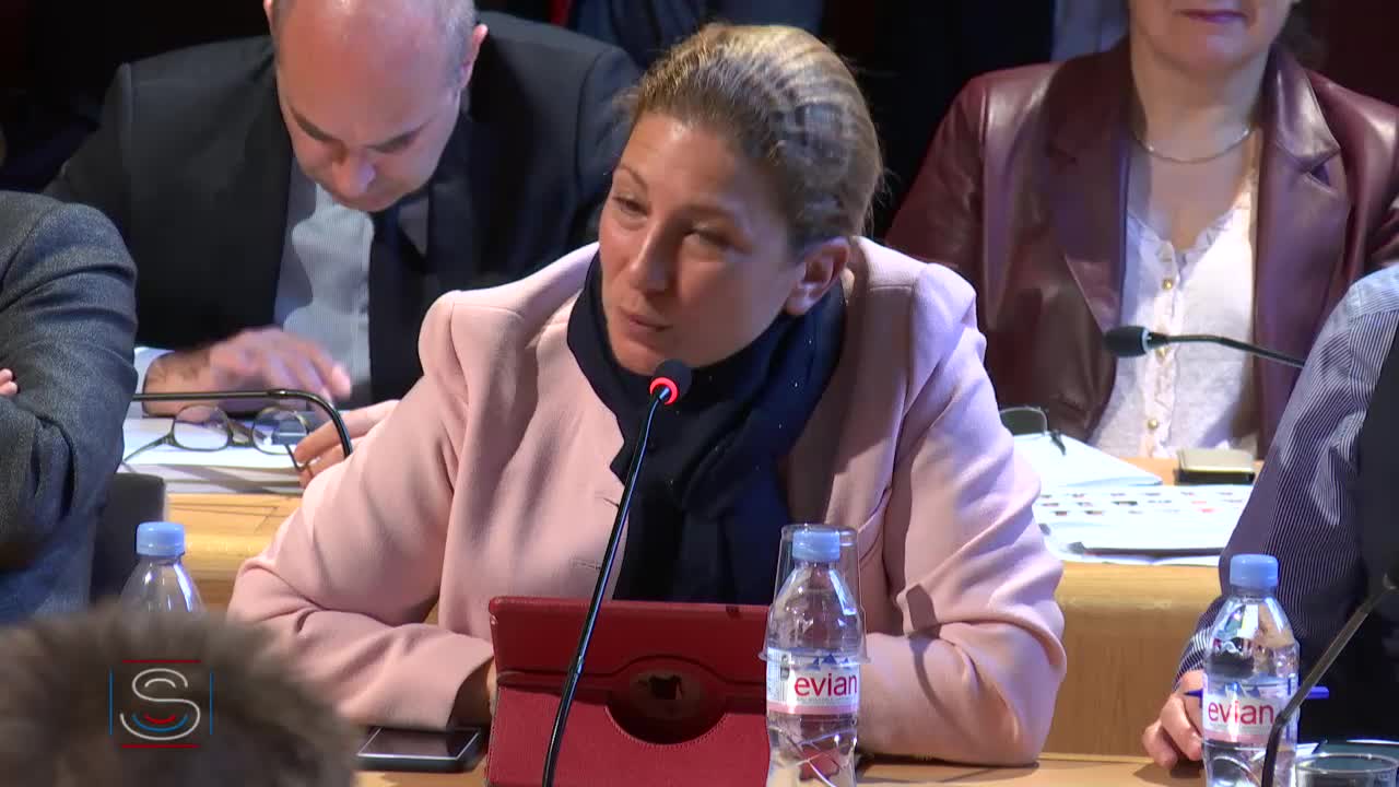 Audition de M. Franck Riester, ministre de la culture, sur la représentation et la visibilité des outre-mer dans l'audiovisuel public