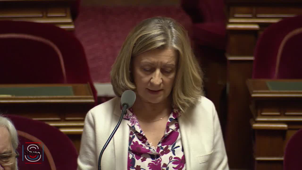 Séance publique du 17 janvier 2019 (après-midi)