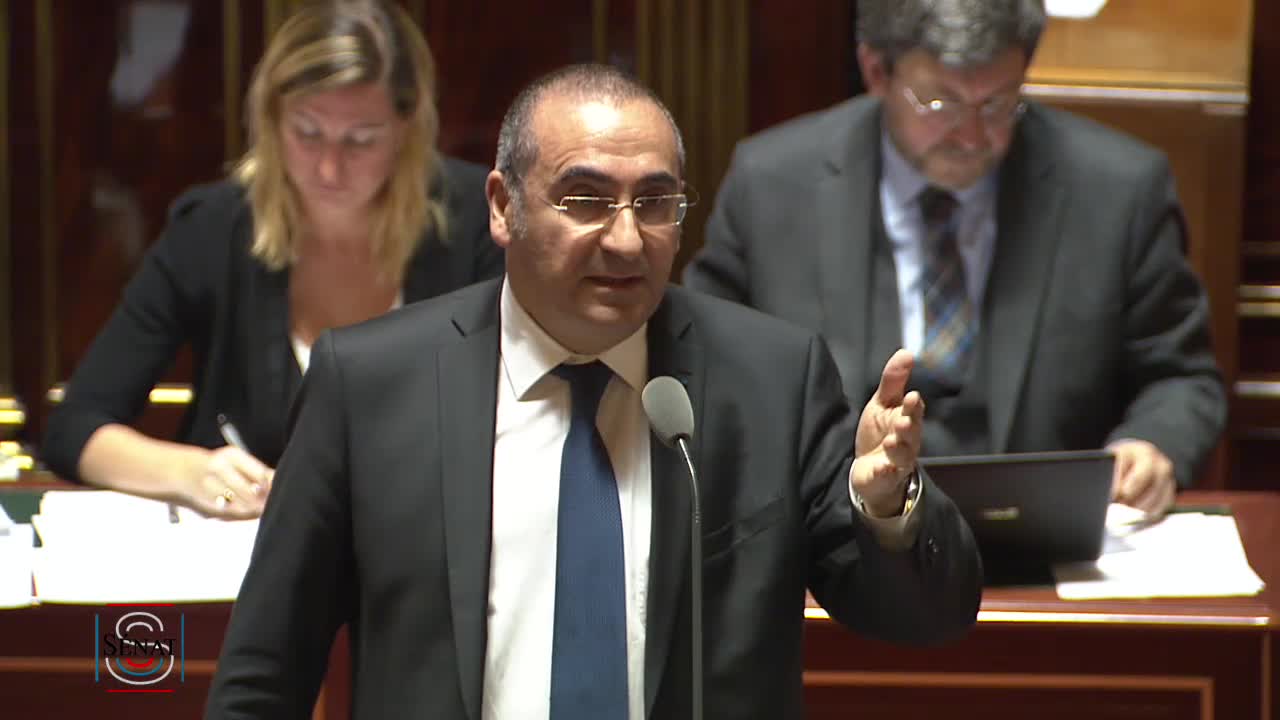 Séance publique du 17 janvier 2019 (après-midi)