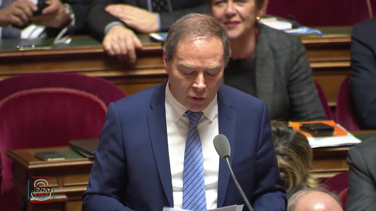 Séance publique du 17 janvier 2019 (après-midi)