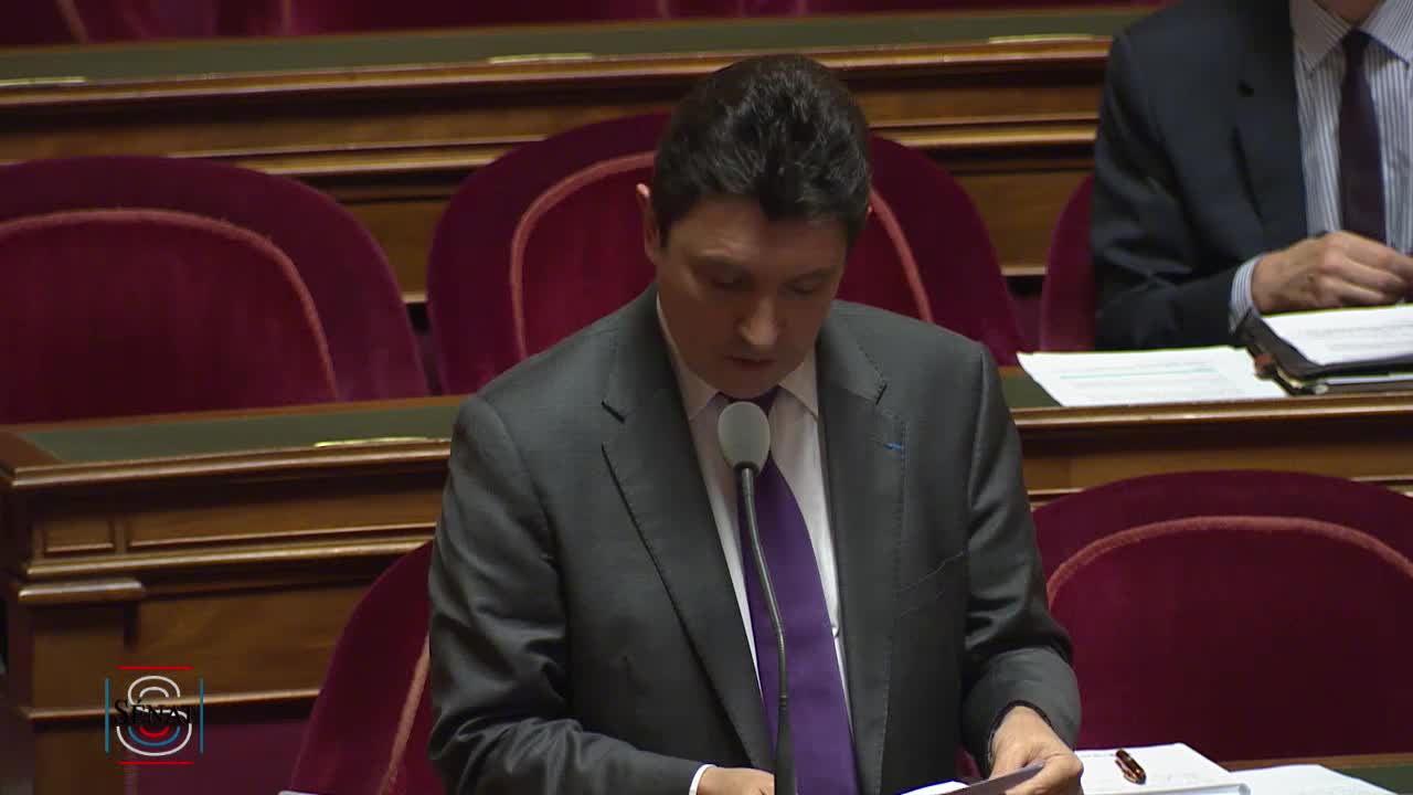 Séance publique du 17 janvier 2019 (après-midi)