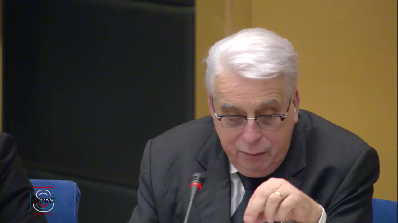 Audition de M. Alexandre Benalla, ancien chargé de mission à la présidence de la République