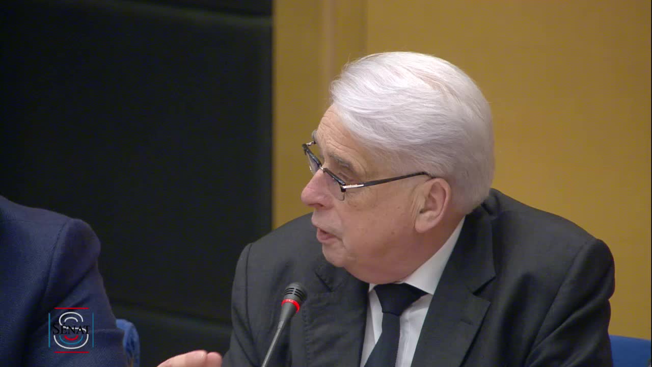 Audition de M. Alexandre Benalla, ancien chargé de mission à la présidence de la République