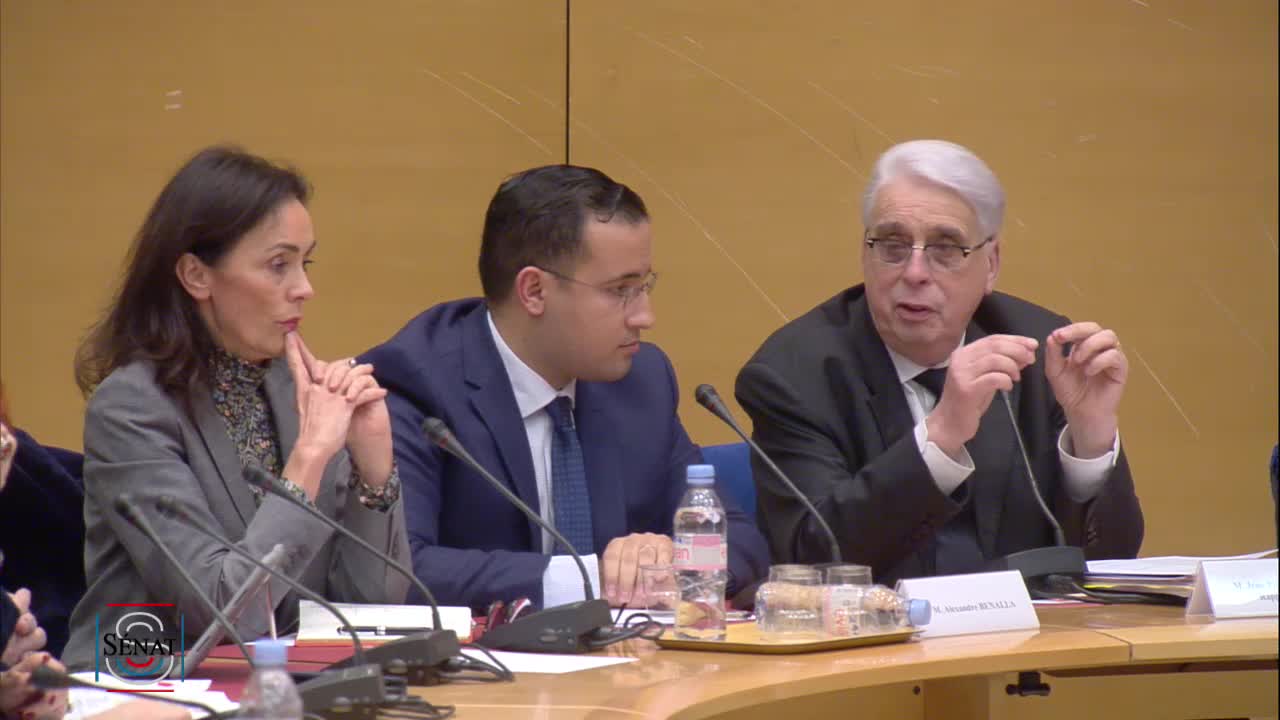 Audition de M. Alexandre Benalla, ancien chargé de mission à la présidence de la République