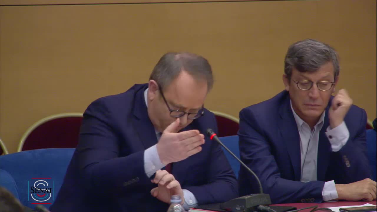 Audition de M. Alexandre Benalla, ancien chargé de mission à la présidence de la République