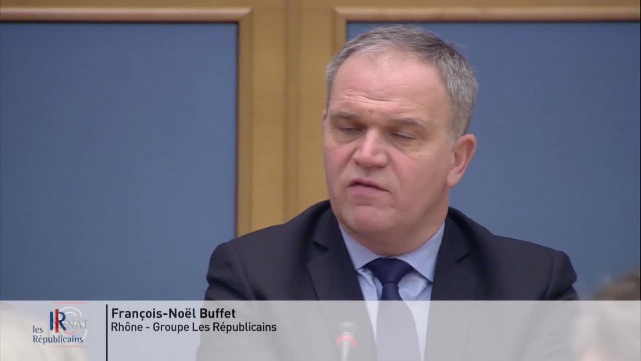 Audition de M. Alexandre Benalla, ancien chargé de mission à la présidence de la République
