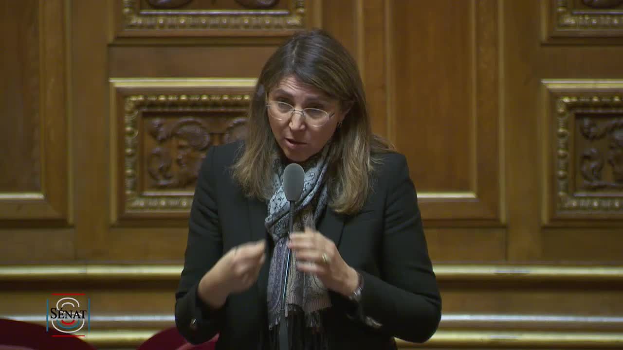 Séance publique du 22 janvier 2019 (matin)