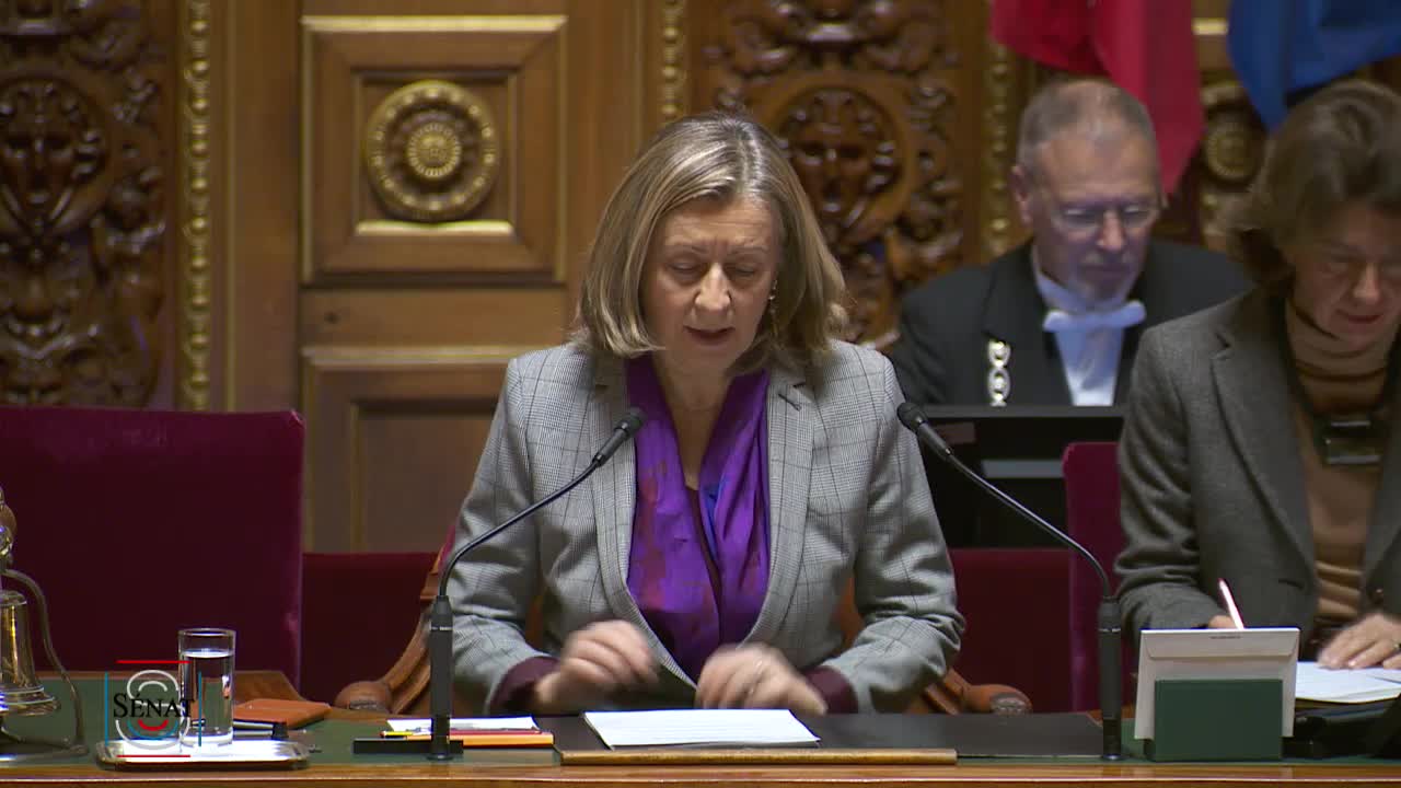Séance publique du 22 janvier 2019 (matin)