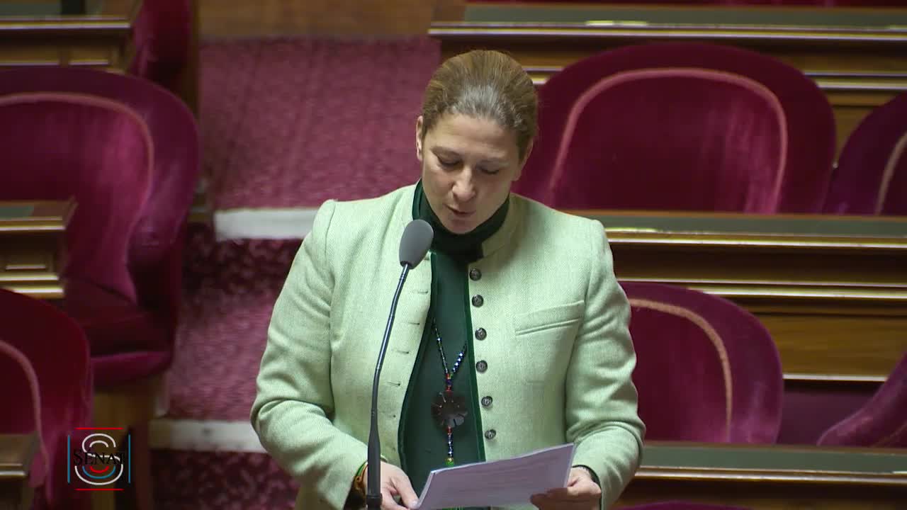 Séance publique du 22 janvier 2019 (matin)