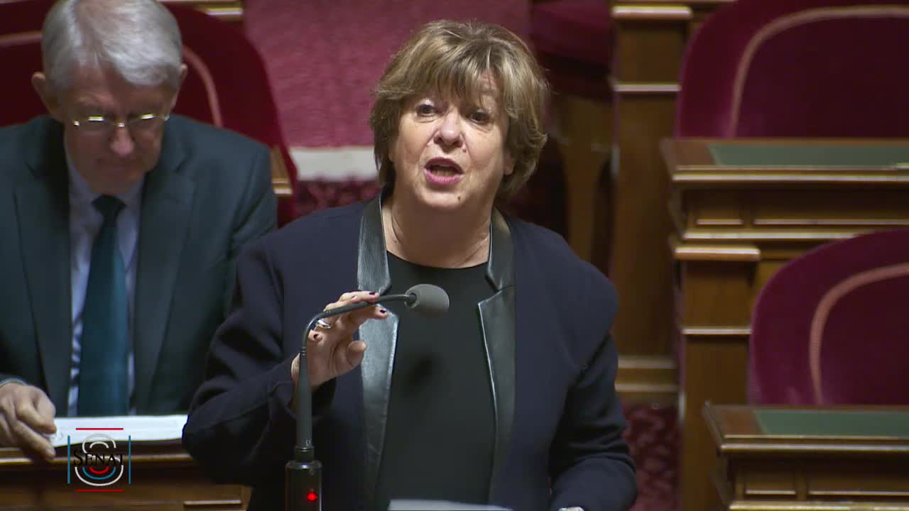 Séance publique du 22 janvier 2019 (matin)
