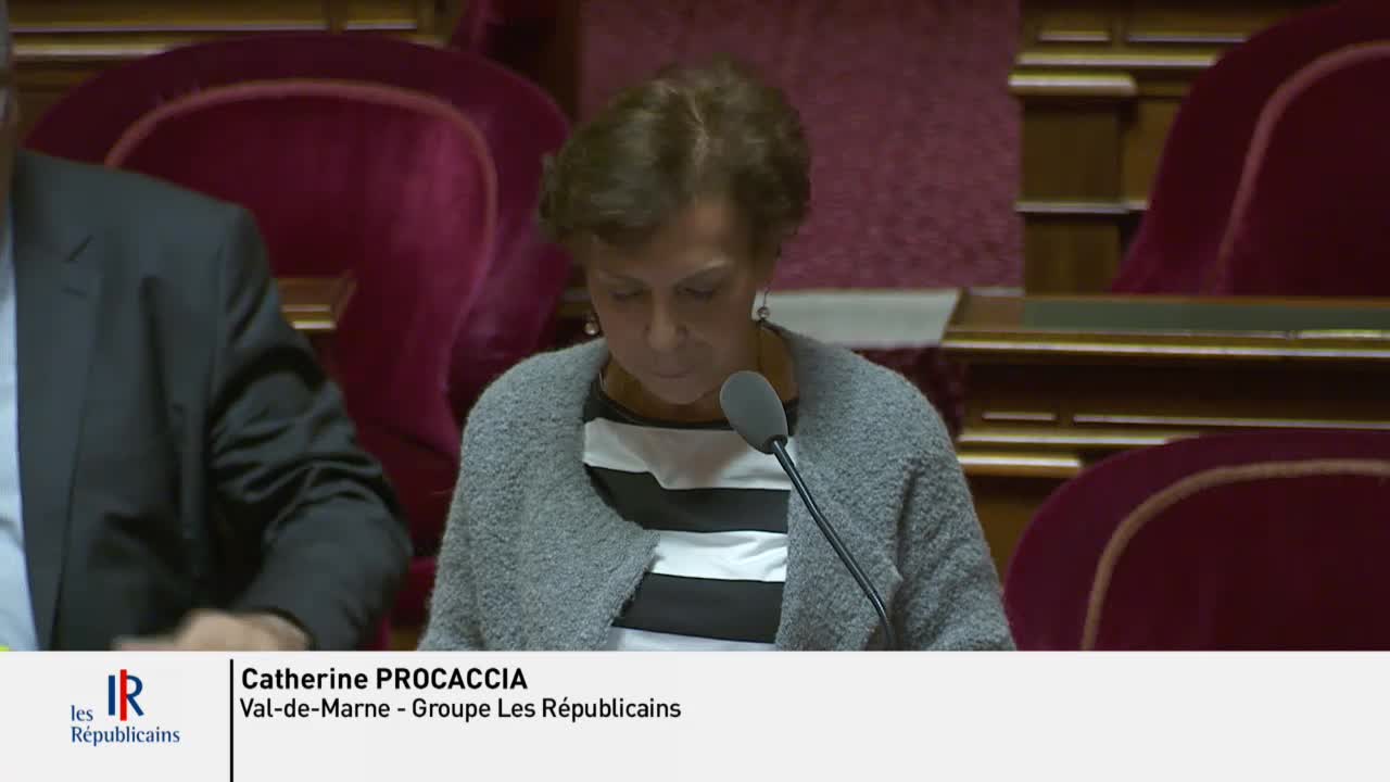 Séance publique du 22 janvier 2019 (matin)