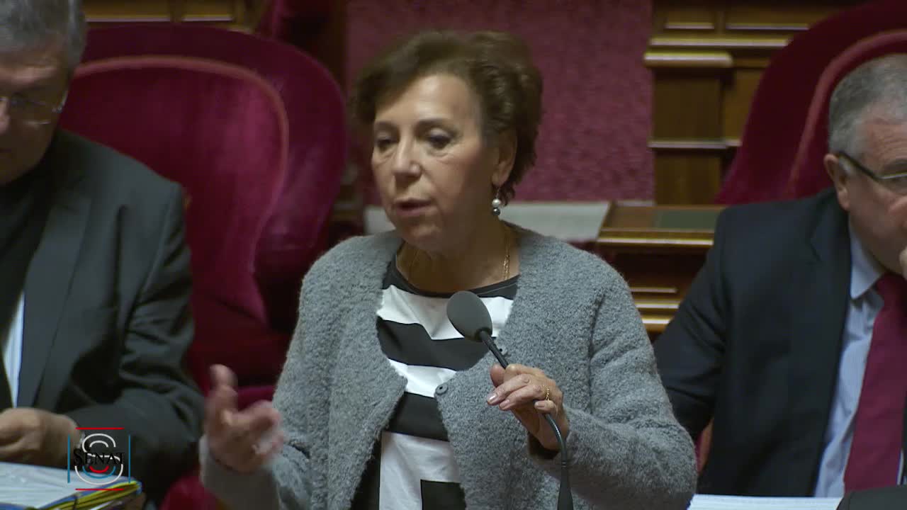 Séance publique du 22 janvier 2019 (matin)