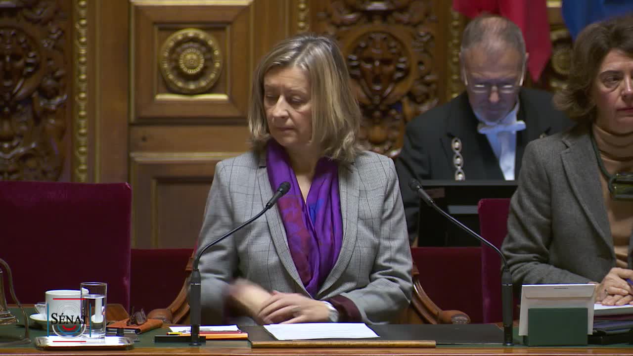 Séance publique du 22 janvier 2019 (matin)