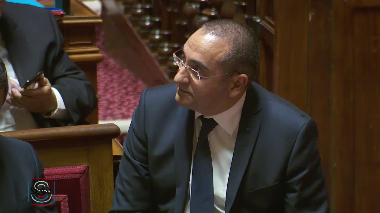 Séance publique du 22 janvier 2019 (après-midi)