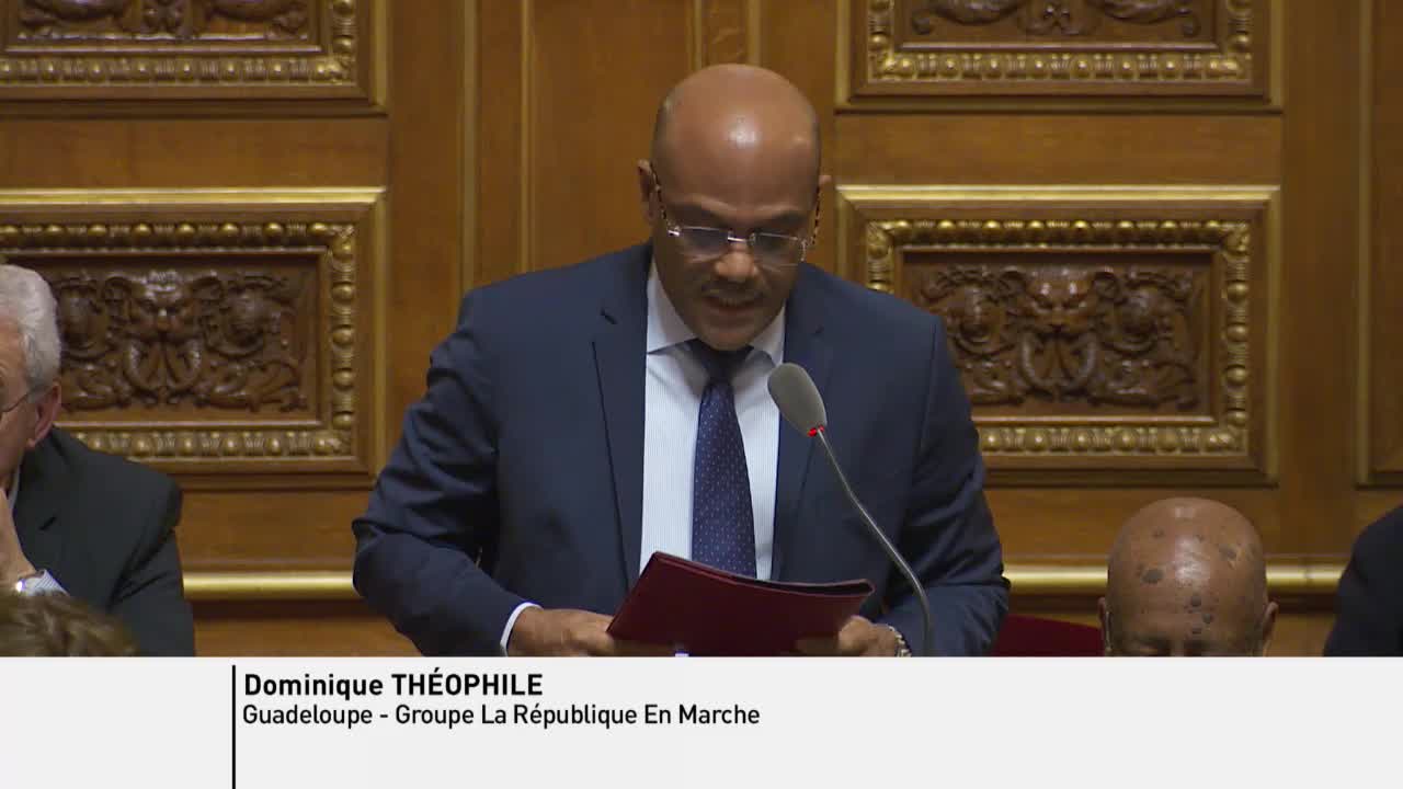 Séance publique du 22 janvier 2019 (après-midi)