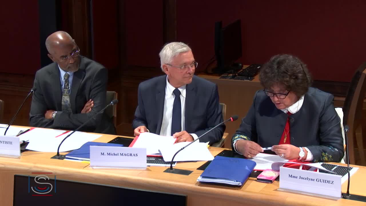 Audition de Mme Delphine Ernotte, présidente de France Télévisions, accompagnée de M. Walles Kotra, directeur exécutif chargé de l'outre-mer