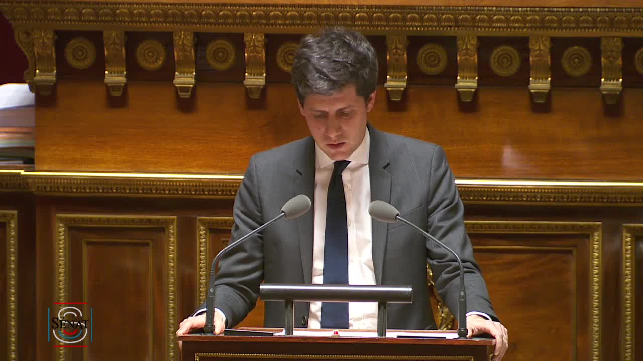 Séance publique du 22 janvier 2019 (soir)