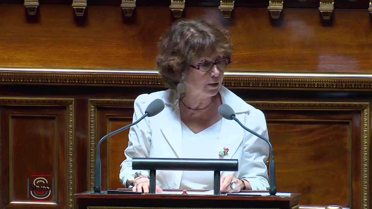 Séance publique du 16 juillet 2019 (après-midi)