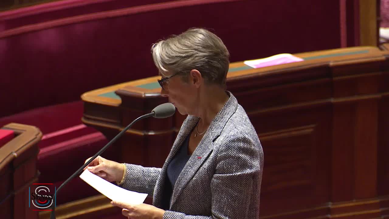 Séance publique du 17 juillet 2019 (soir)