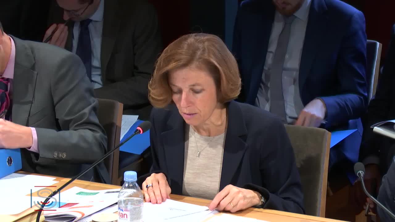 PLF 2020 – Audition de Mme Florence Parly, ministre des armées