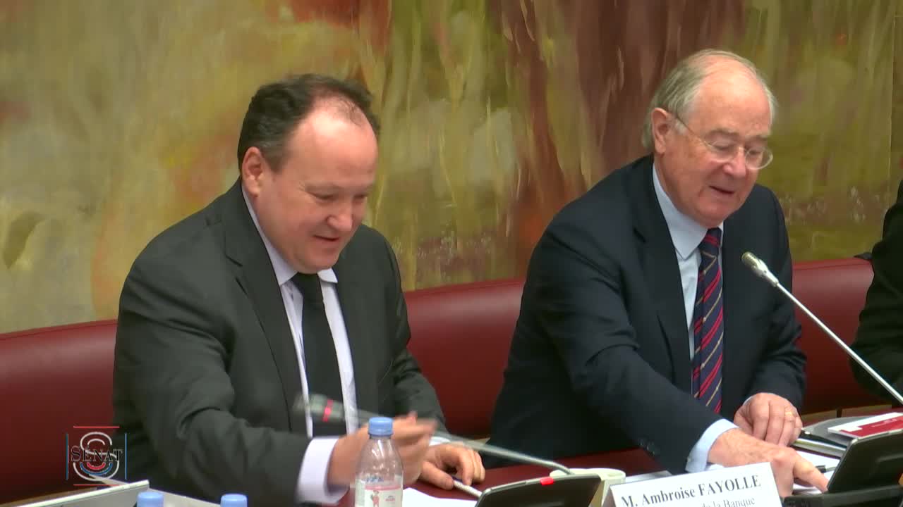 Audition de M. Ambroise Fayolle, vice-président de la Banque européenne d'investissement