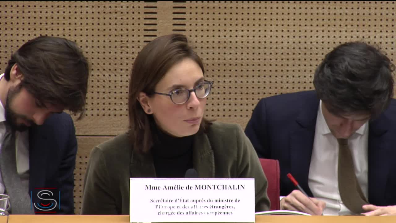 Débat préalable au Conseil européen des 12 et 13 décembre, en présence de Mme Amélie de Montchalin, secrétaire d'État auprès du ministre de l'Europe et des affaires étrangères, chargée des affaires européennes.