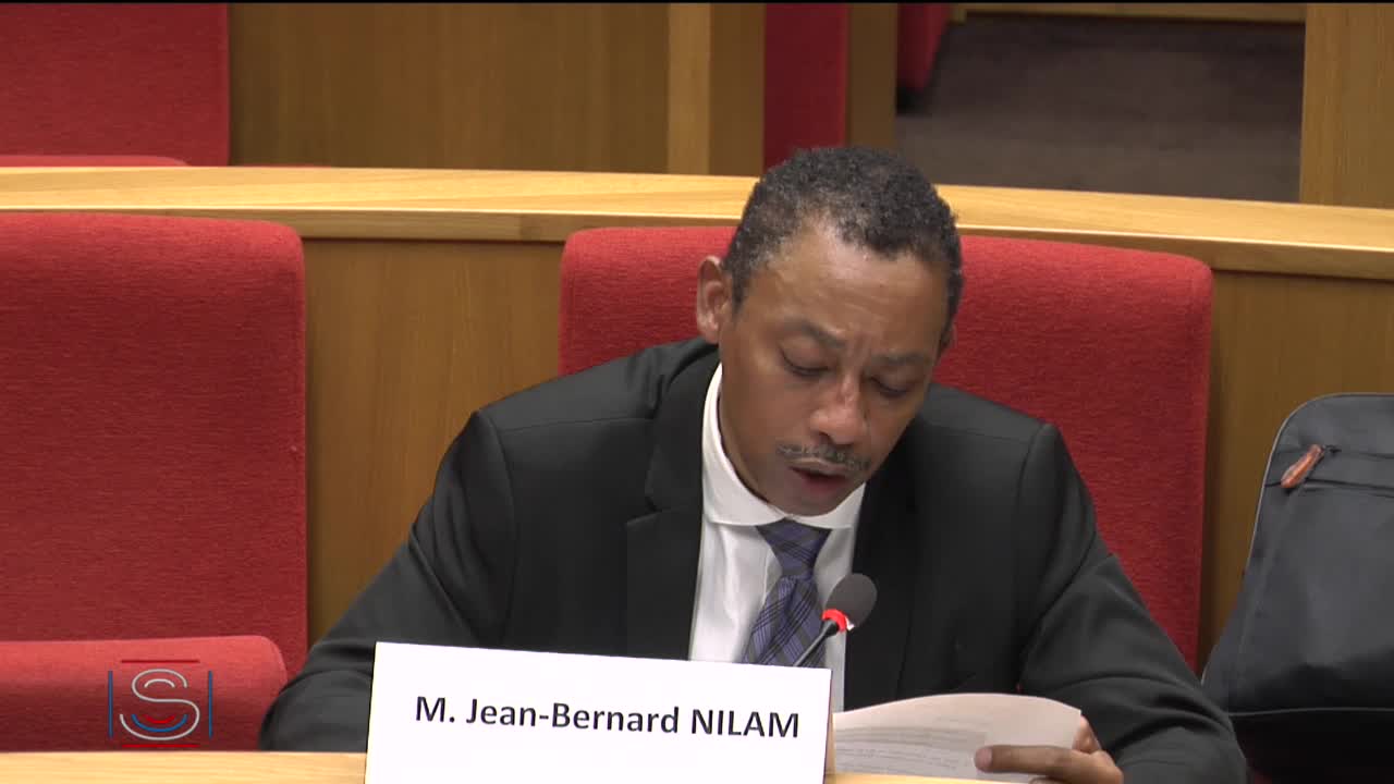 Audition M. Jean-Bernard Nilam, ambassadeur délégué à la coopération régionale Antilles-Guyane