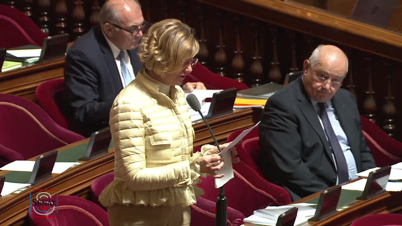 Séance publique du 22 novembre 2022 (après-midi)