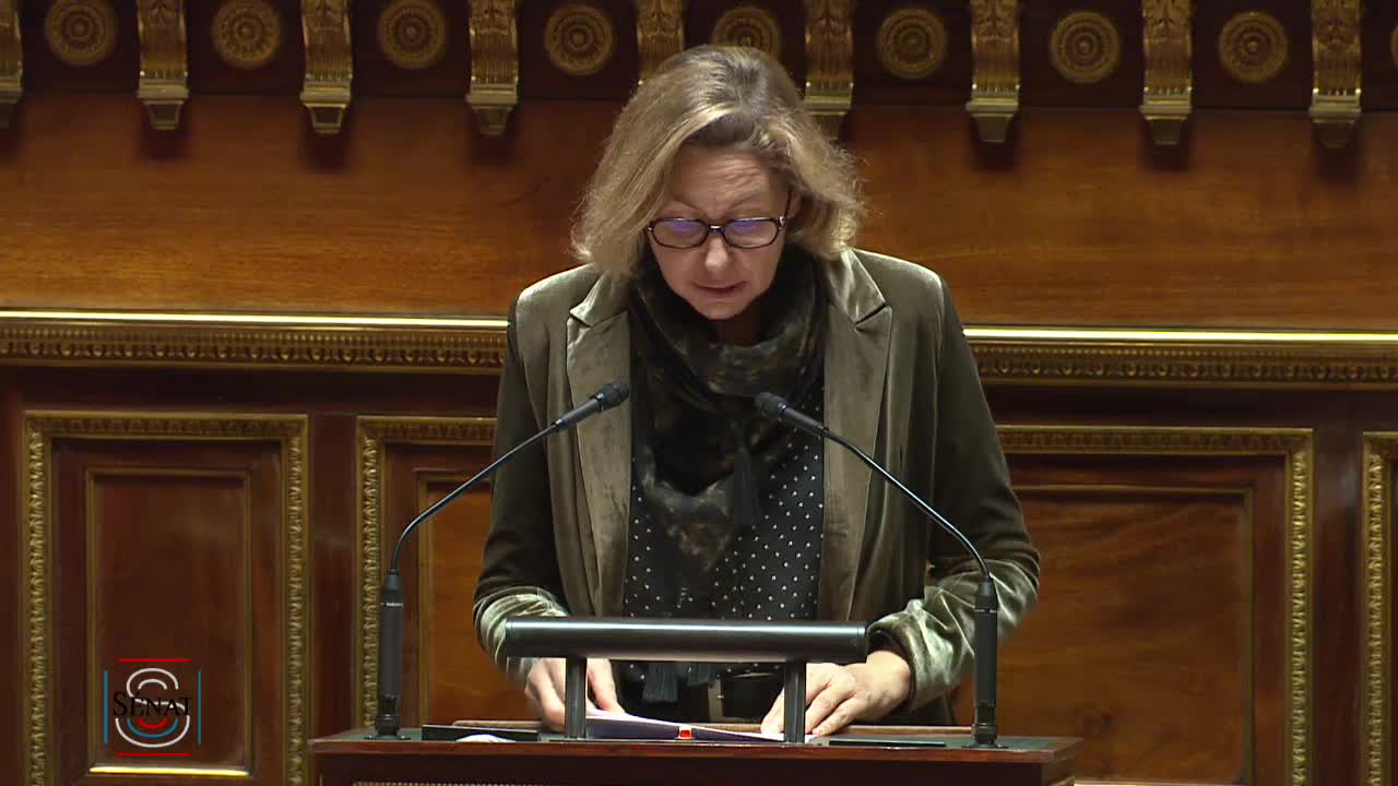 Séance publique du 28 novembre 2022 (après-midi)