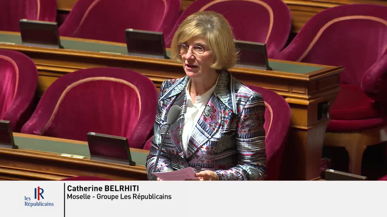 Séance publique du 29 novembre 2022 (matin)