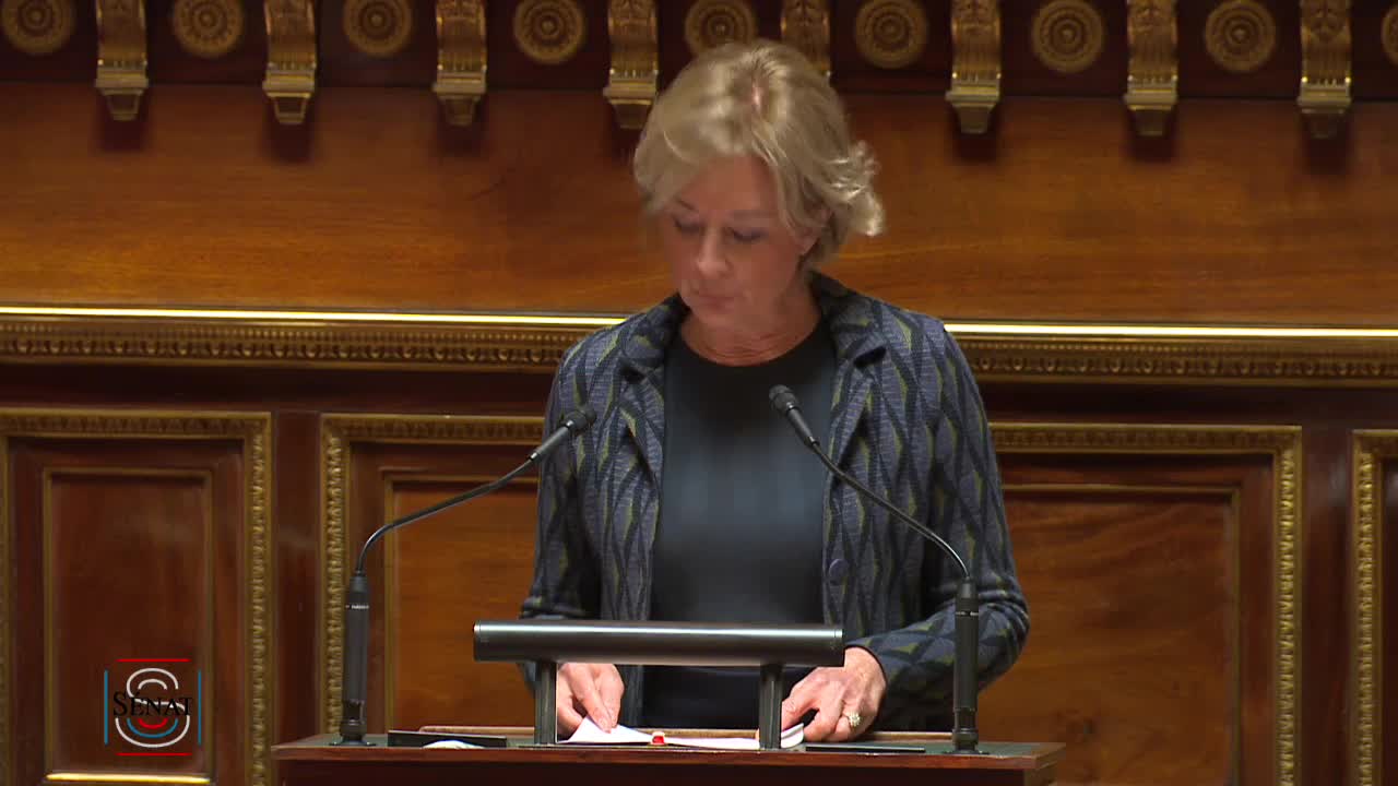 Séance publique du 29 novembre 2022 (après-midi)