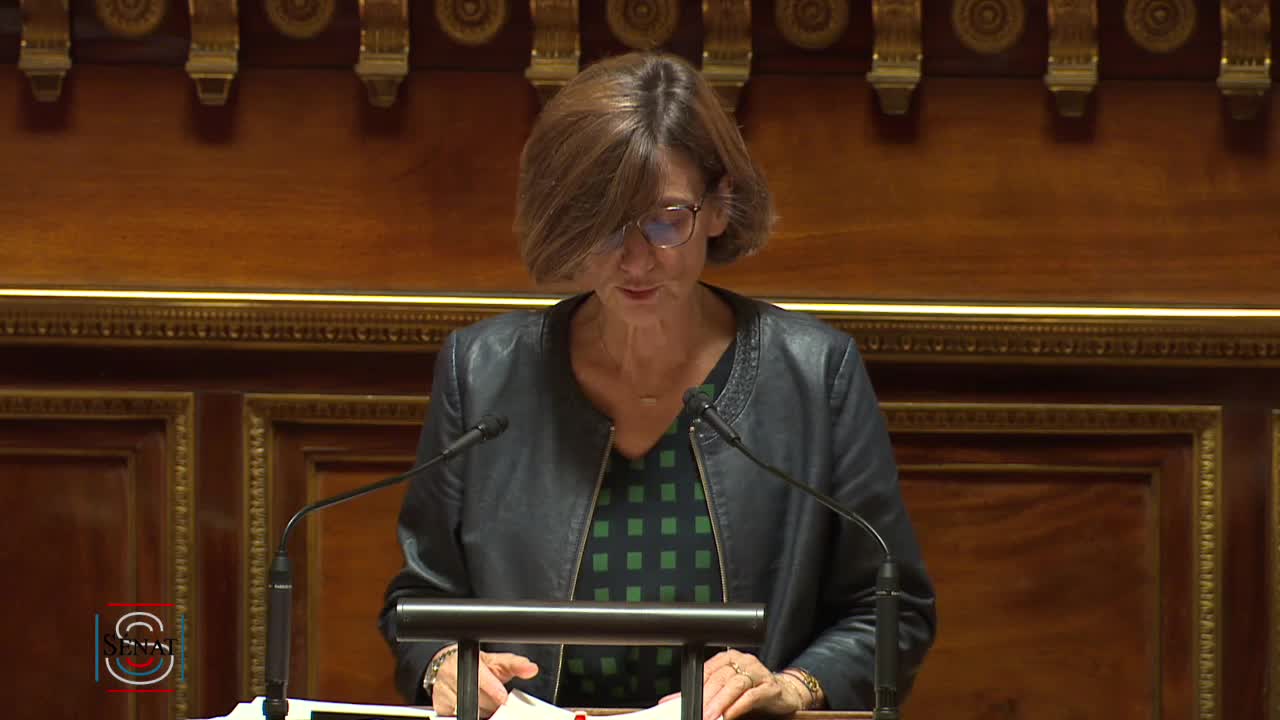 Séance publique du 29 novembre 2022 (soir)
