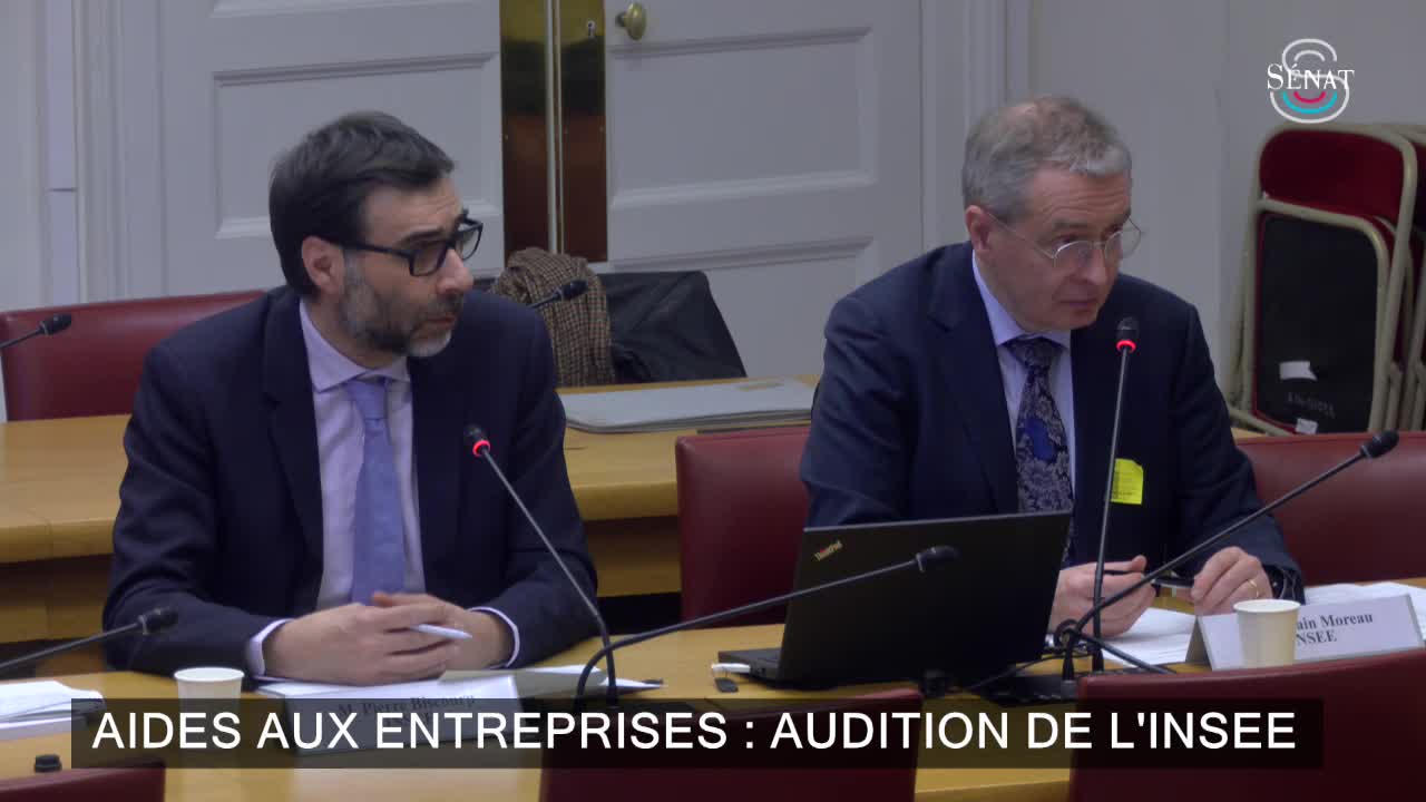 Aides aux entreprises : audition de l'Insee