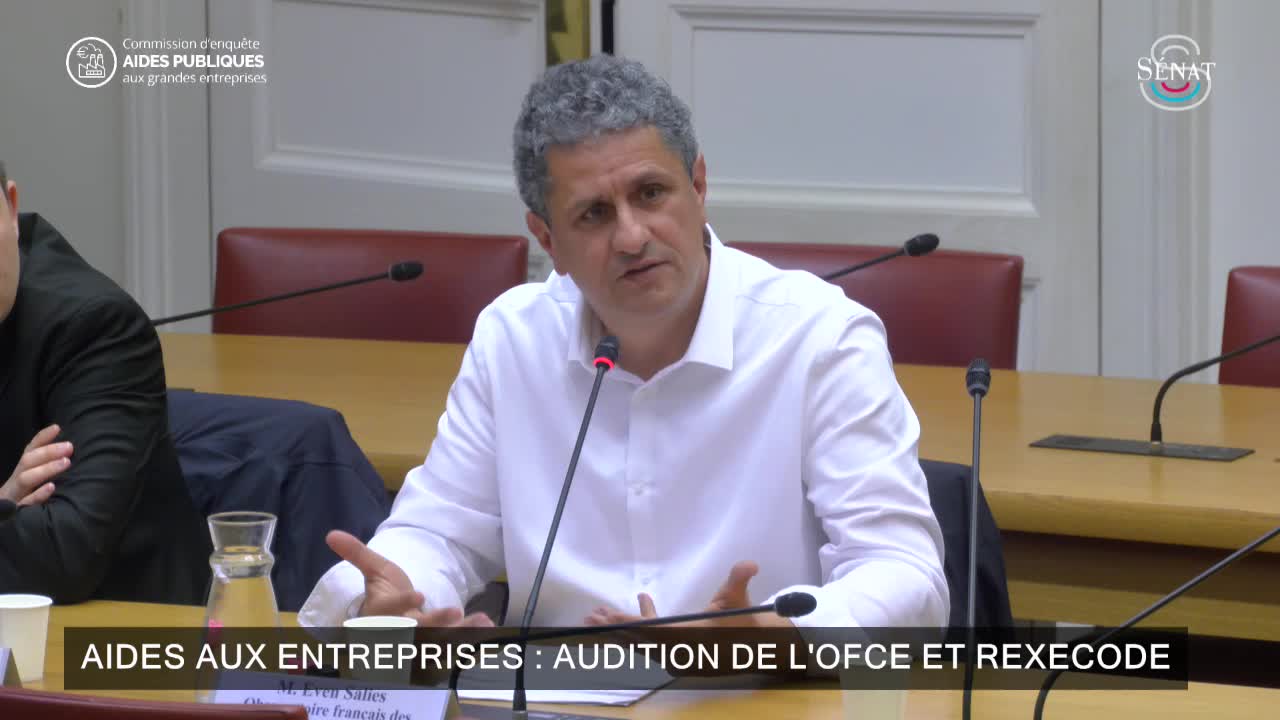 Aides aux entreprises :audition de  l'OFCE et Rexecode