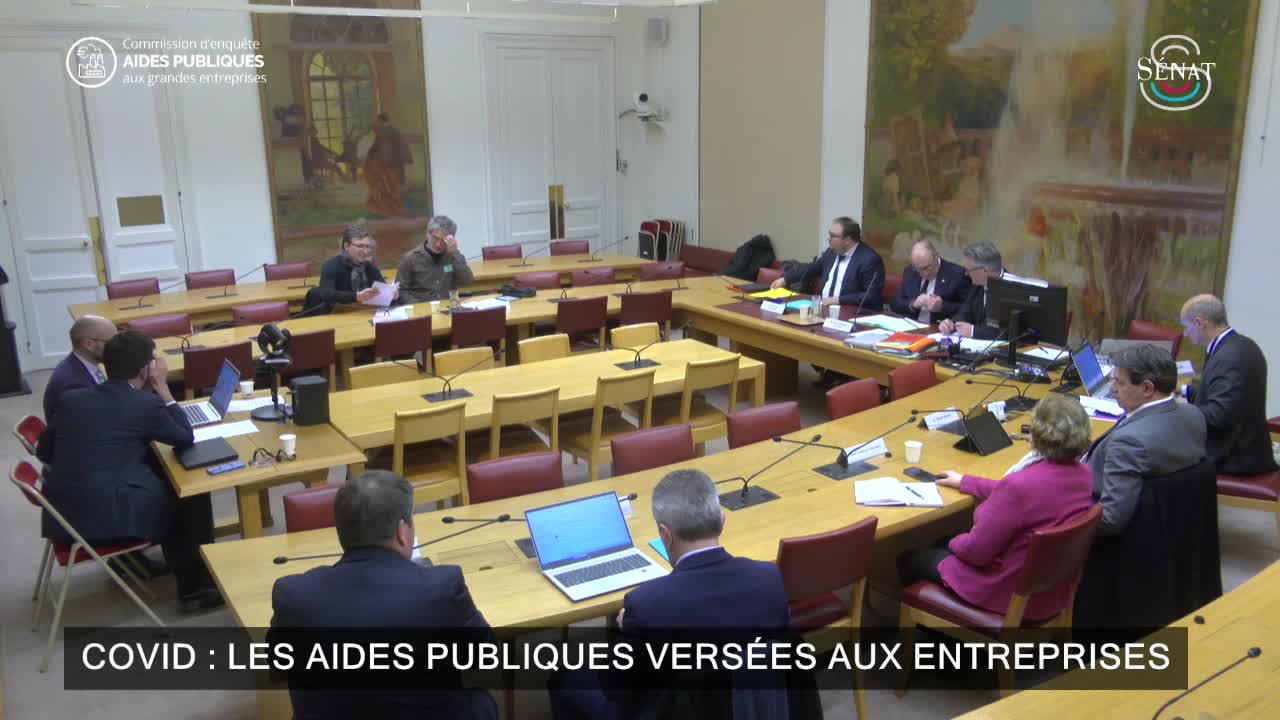 COVID : les aides publiques versées aux entreprises