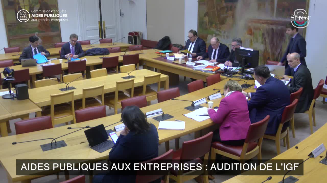 Aides publiques aux entreprises : audition de l'IGF