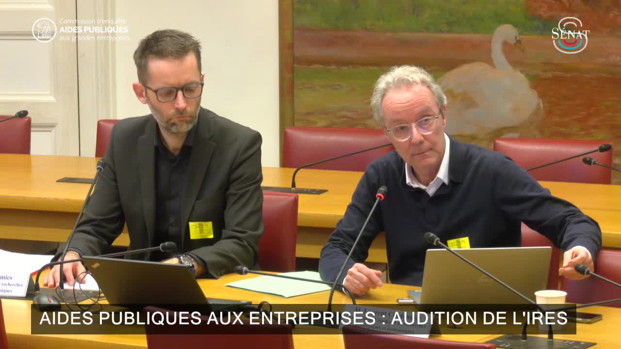 Aides publiques aux entreprises : audition de l'IRES