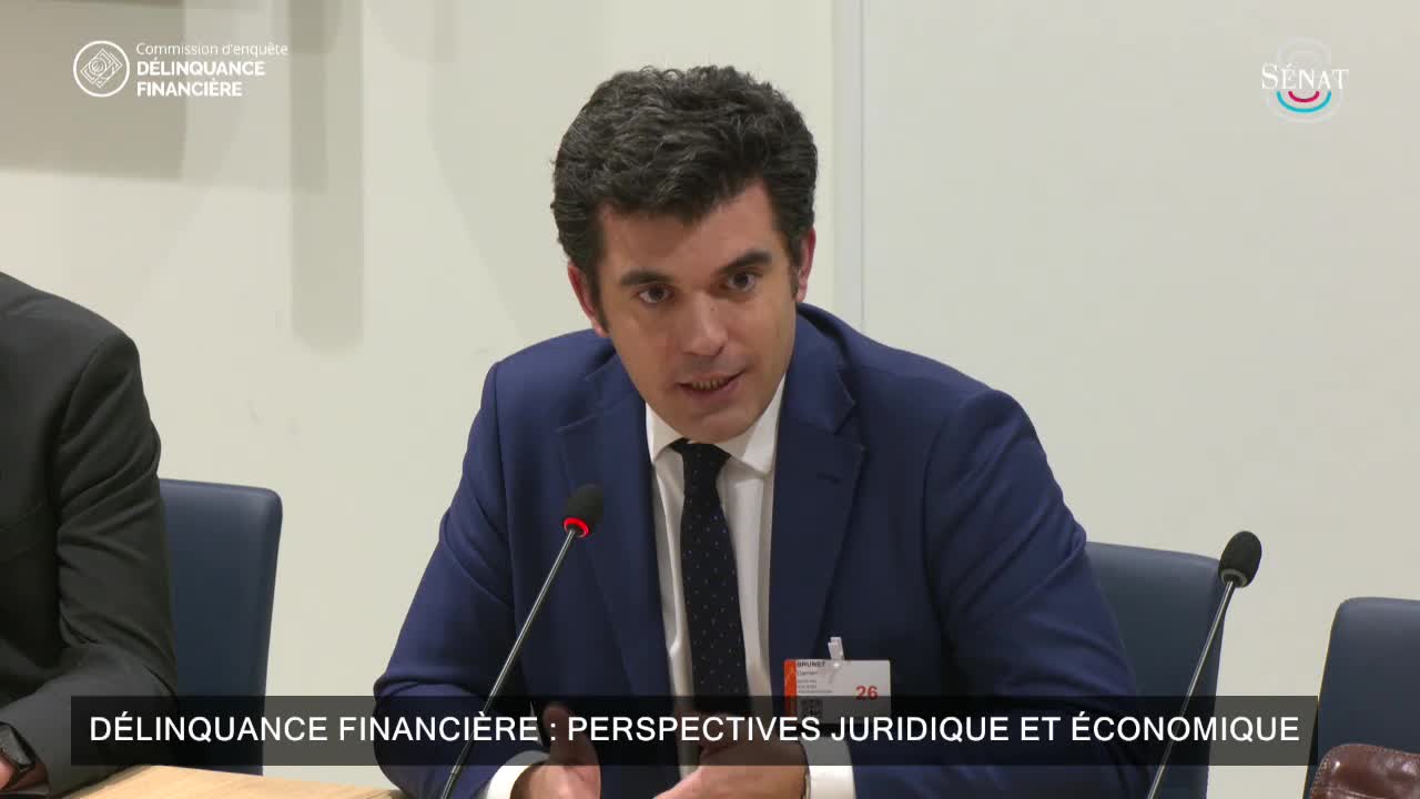 Délinquance financière : perspectives juridique et économique