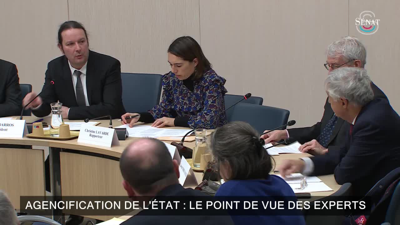 Agencification de l'État : le point de vue des experts