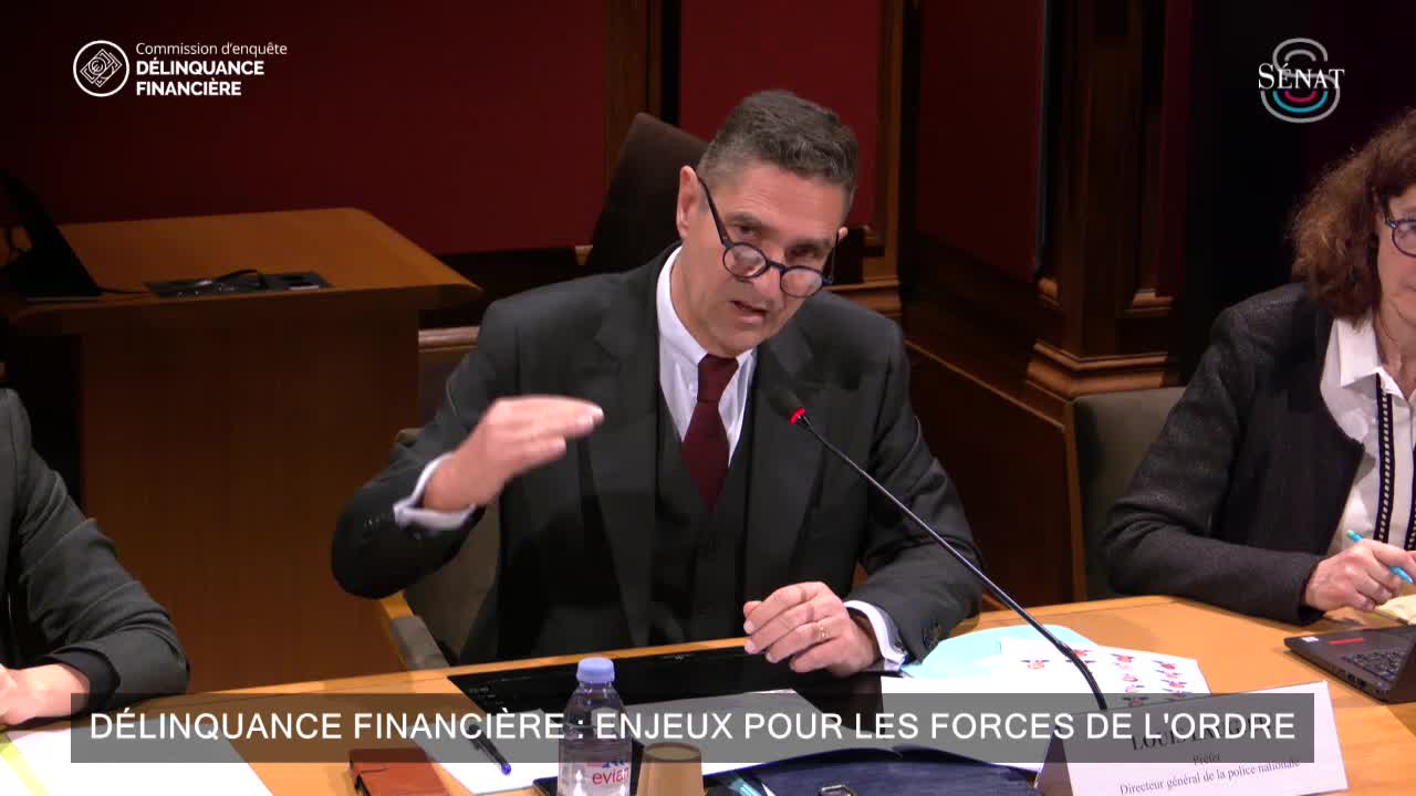 Délinquance financière : enjeux pour les forces de l'ordre