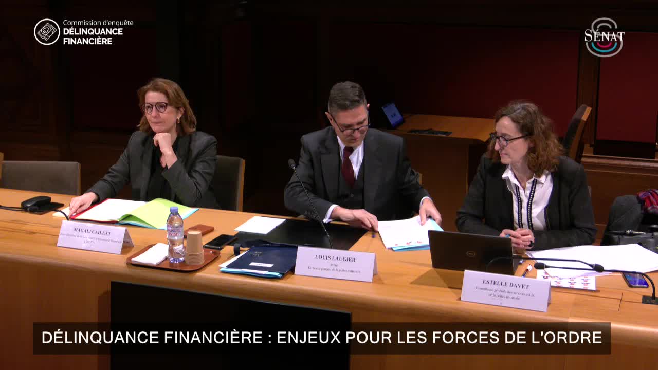 Audition du directeur général de la police nationale ( Ne pas supprimer)