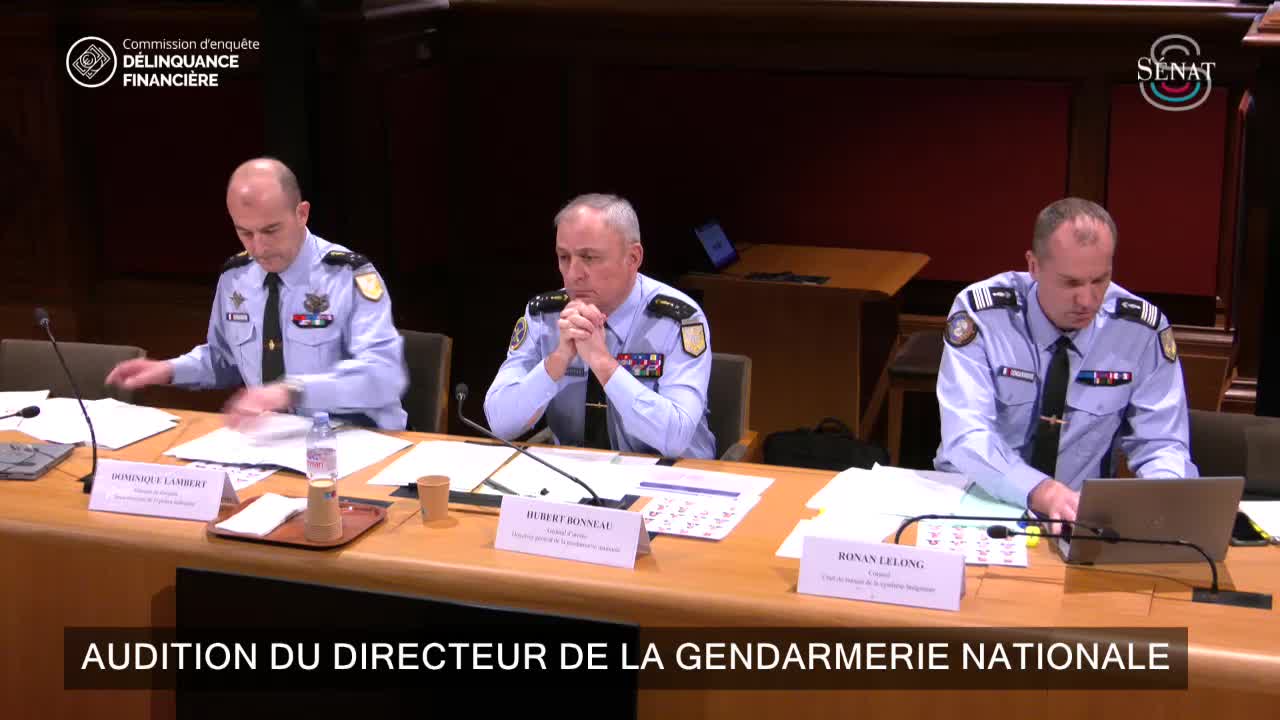 Audition du directeur général de la gendarmerie nationale ( Ne pas supprimer)