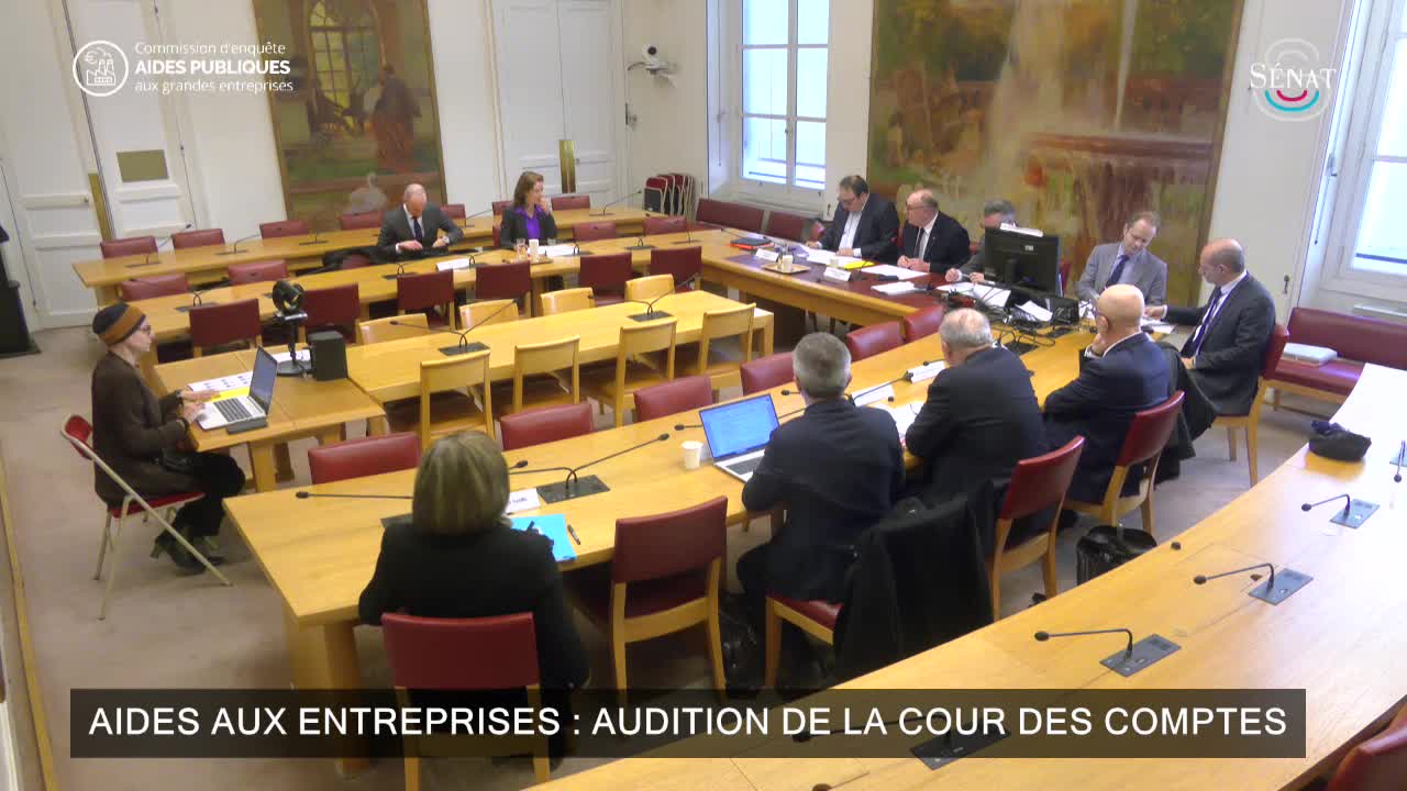 Aides aux entreprises : audition de la Cour des comptes