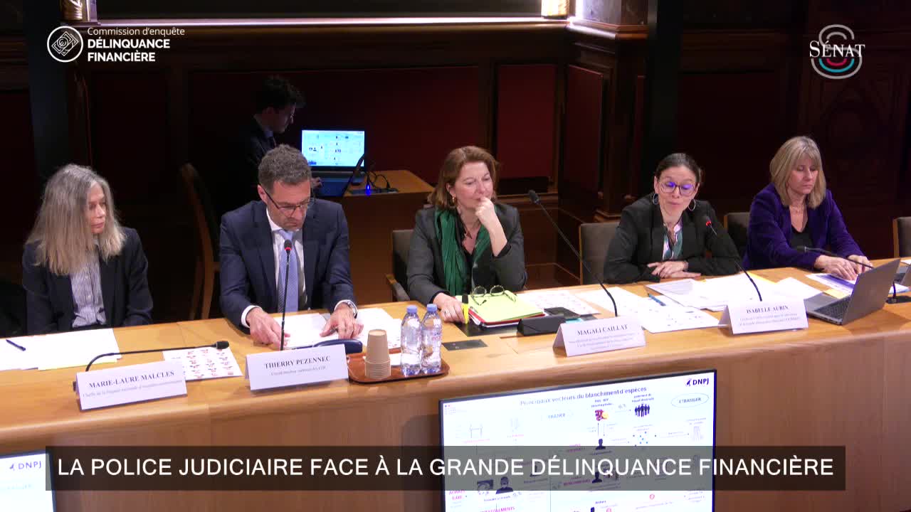 La police judiciaire face à la grande délinquance financière