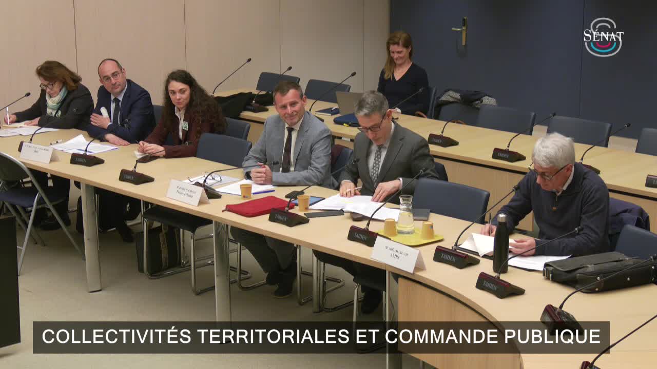 Collectivités territoriales et commande publique